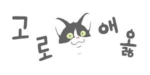 고로애옳